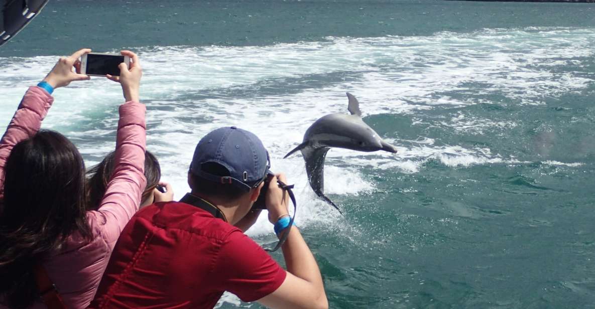 Rockingham: Shoalwater Islands Tour and Penguin Island - Frequently Asked Questions