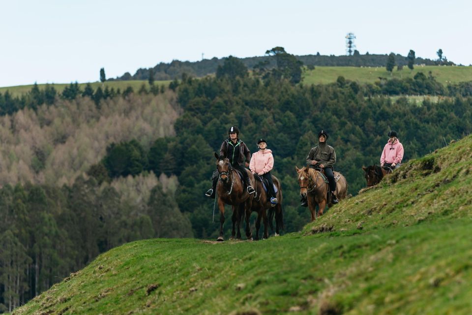 Rotorua: Guided Horseback Riding Day Trip on Mt. Ngongotaha - Group Size and Inclusions