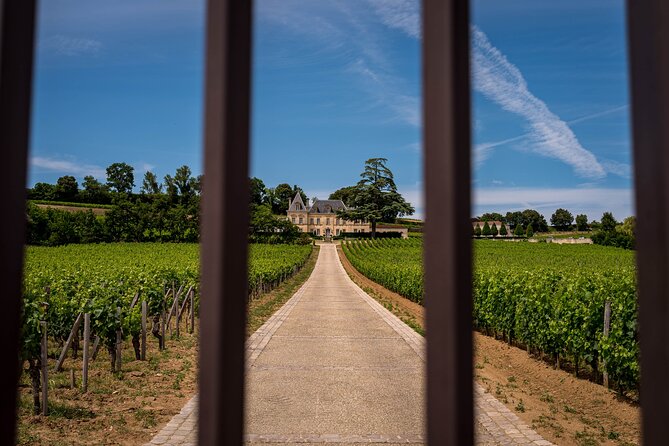 Saint-Émilion Wine Tour By Electric Bike, Lunch Included - Visiting Multiple Wineries