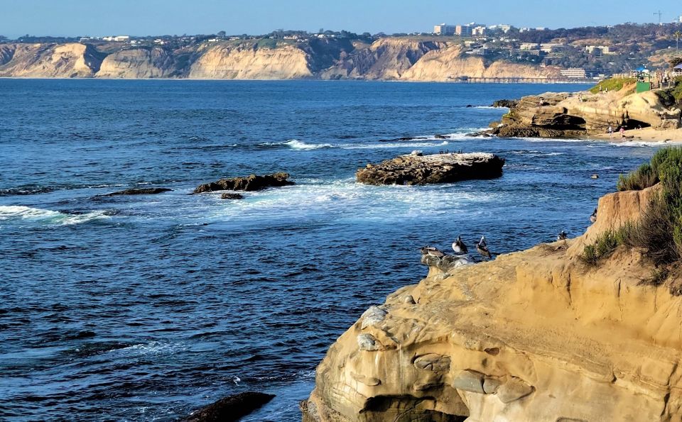 San Diego: City and Beaches Guided Highlights Tour - Contact Information