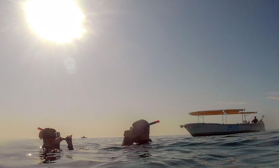 San Jose Del Cabo Private Snorkeling Tour - Booking and Inquiries