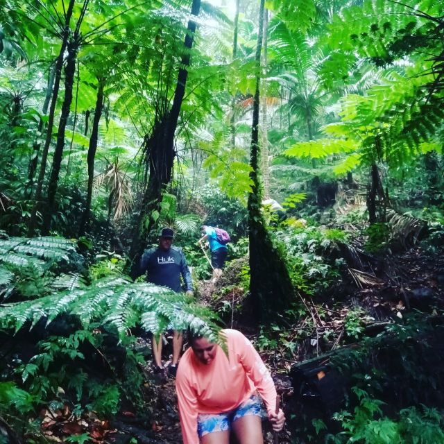 Scenic Rainforest Hike - Frequently Asked Questions