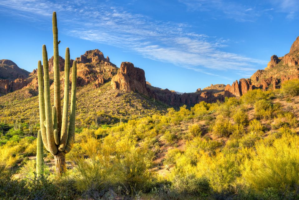 Sedona Day Trip: From Metro Phoenix / Scottsdale - Booking and Cancellation Policy