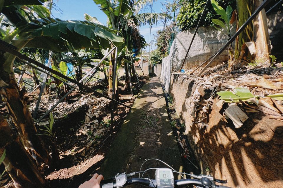 Self-Guided E-Bike Road Tour - Funchal to Câmara De Lobos - Frequently Asked Questions