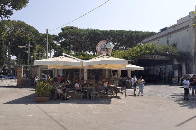 Semi - Private Tour of Pompeii With an Archeologist - Tour Accessibility