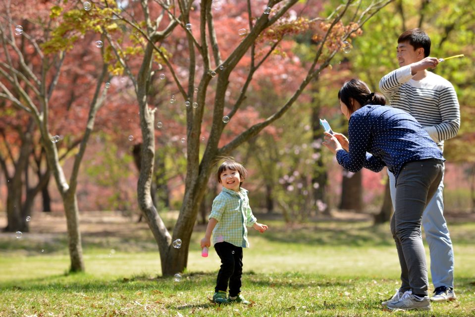 Seoul: Alpaca World & Nami Island (Optional Korean Garden) - Reserve Now, Pay Later