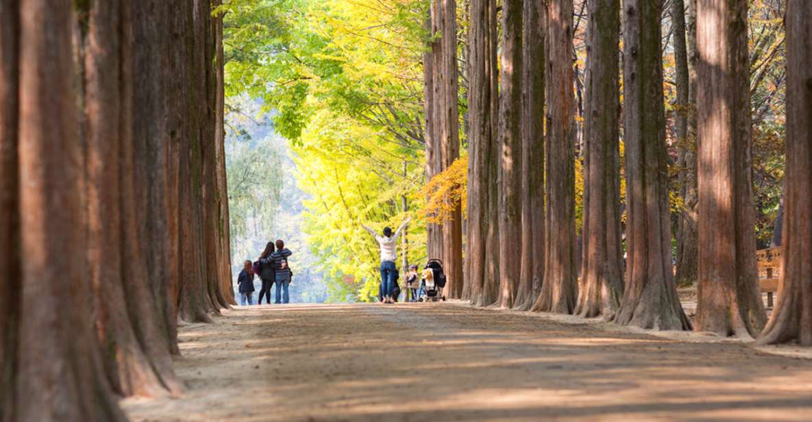 Seoul To/From Nami Island: Round-Trip Shuttle Service - Nami Island Admission