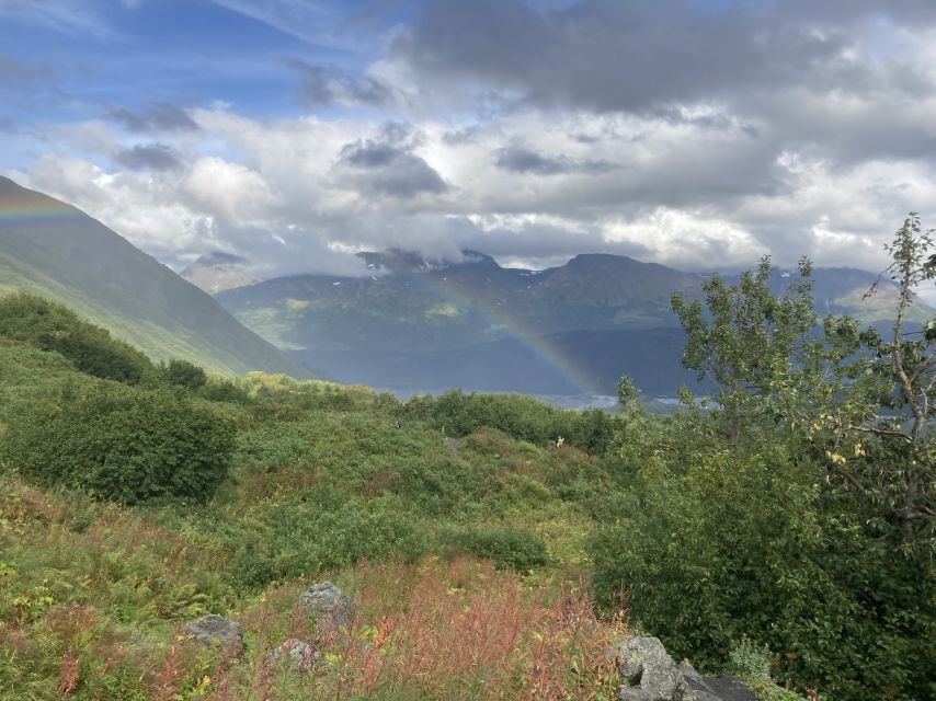 Seward: Guided Wilderness Hike With Transfer - Spotting Wildlife and Panoramic Views