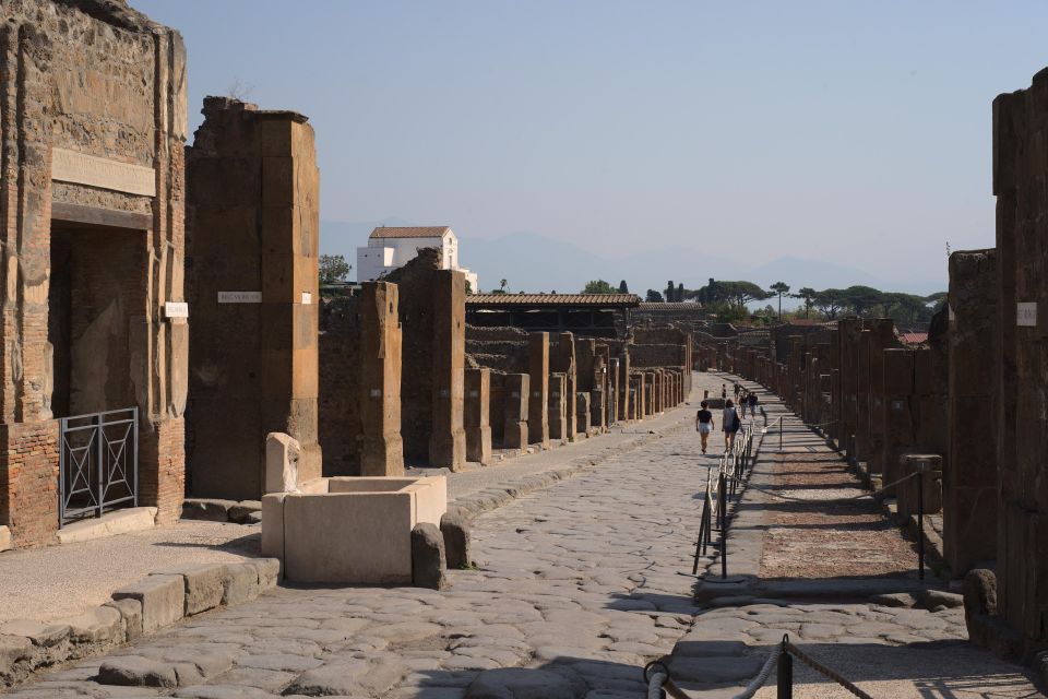 Shore Excursion: Pompeii&Wine Tasting W/Transfer From Port - Accessibility and Suitability