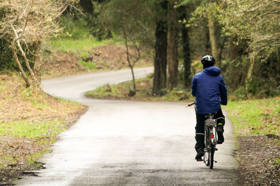 Sintra - Cascais: 6-Hour Electric Bike Tour From Lisbon - What to Expect on the Tour