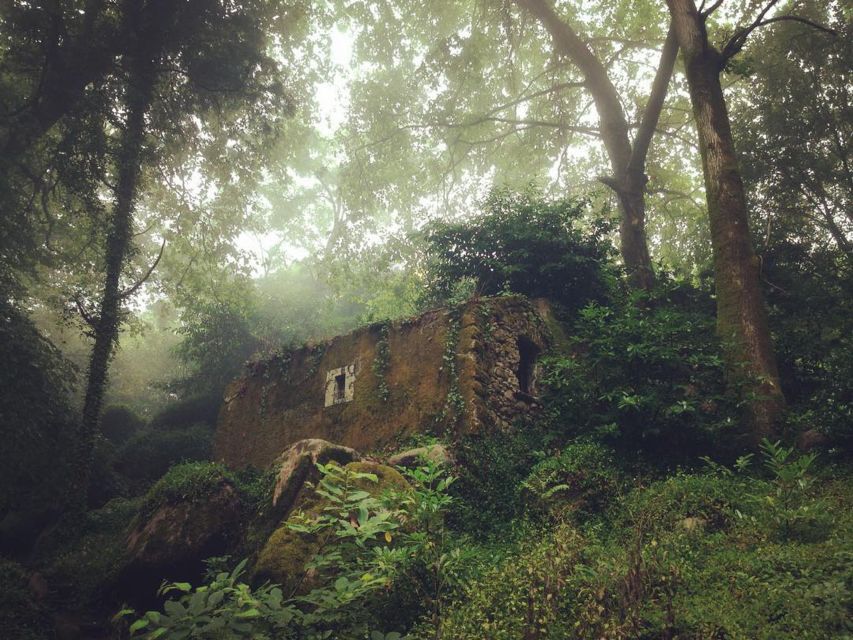 Sintra Guided Visit: Life and Death at the Capuchos Convent - Practical Information and Logistics