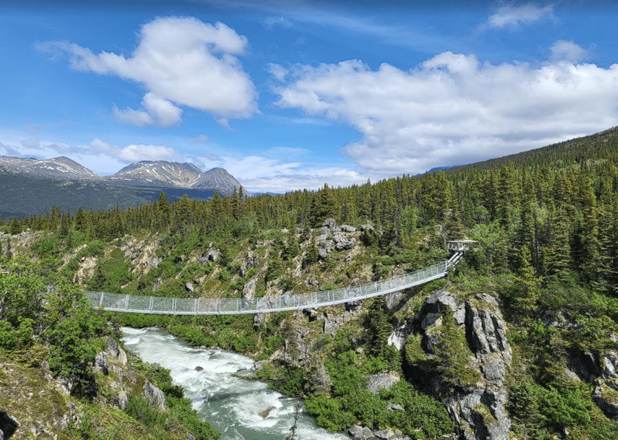 Skagway: Klondike Highway & Yukon Bus Tour With Husky Kennel - Considerations for Mobility Impairments