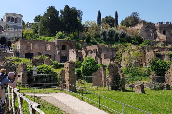 Skip The Line: Colosseum, Roman Forum, Palatine Hill Guided Tour - Navigating the Palatine Hill