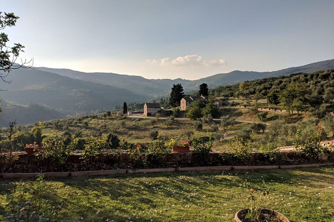 Small Group Chianti Wine Tasting With Seven Tuscan Wines - Highlights of the Tour