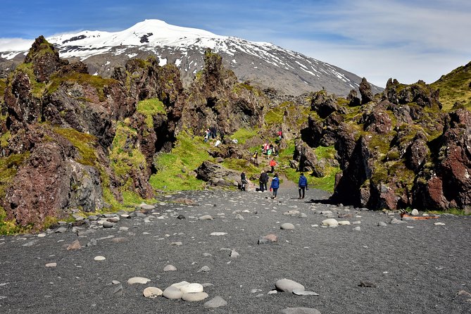 Small-Group Day Trip to Snaefellsnes National Park - Tour Logistics and Details