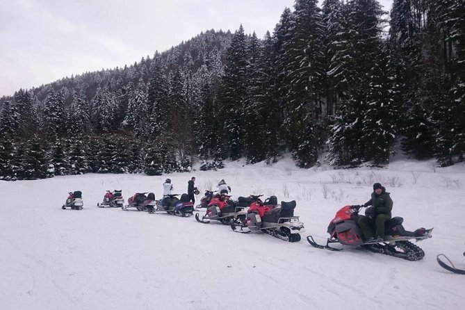 SnowMobiles Tour in Carpathian Mountains - Tour Experience