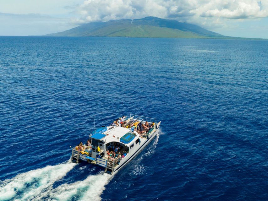 South Maui: Molokini & Turtle Town Snorkeling Tour With Meal - Important Information