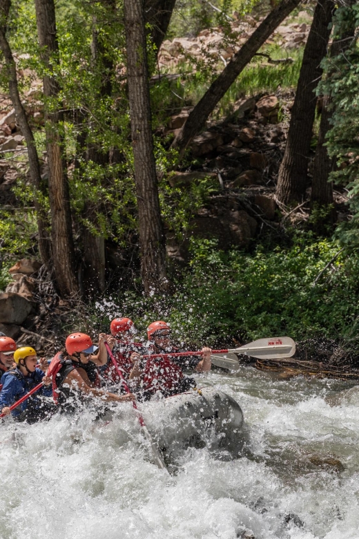 Telluride Whitewater Rafting - Full Day With Lunch - Booking and Cancellation Policy