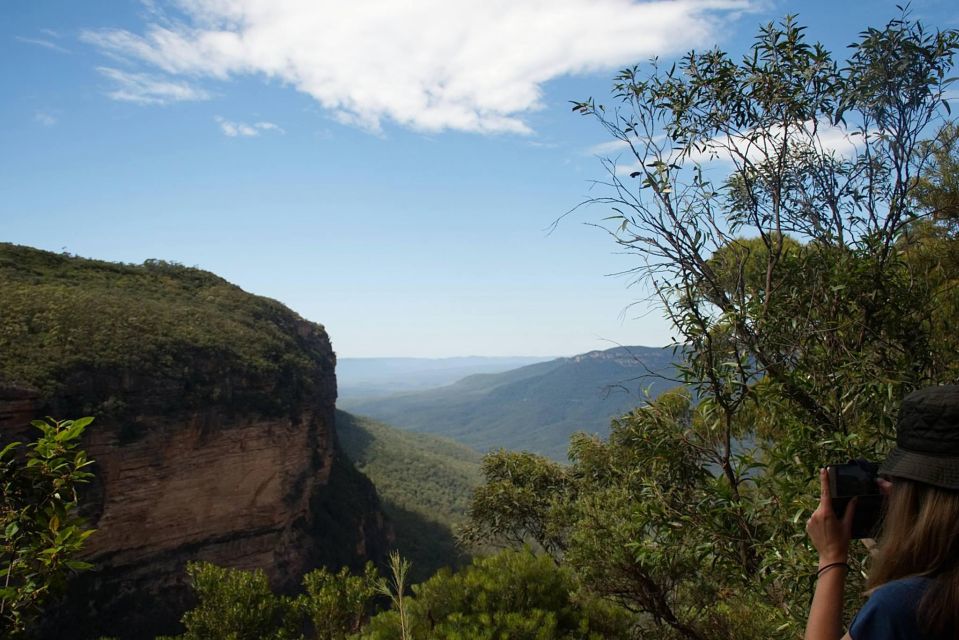 The Blue Mountains Small Group Insider Tour - Book Now!