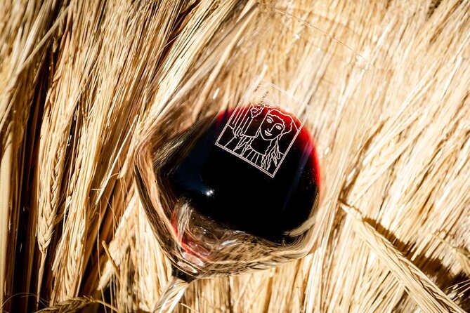 Tour and Tasting at an Organic Winery in the Heart of Chianti Classico Area - Accessibility and Group Size