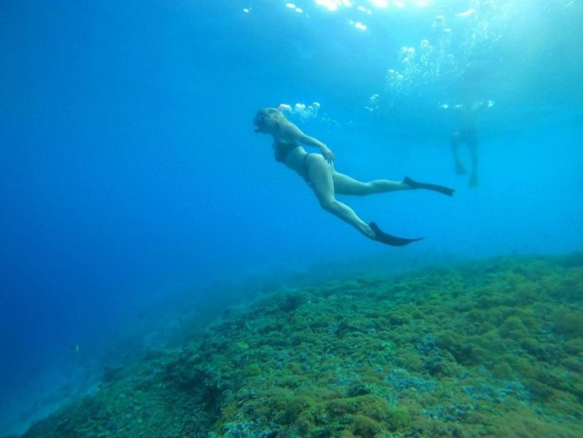 Tour Gili Islands : Private Snorkeling Trip 4 Hours - Tips for Your Trip