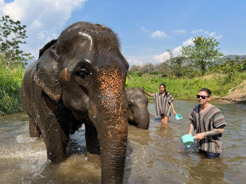 Trekking One Day With Elephant Care + Bamboo Rafting - Bamboo Rafting