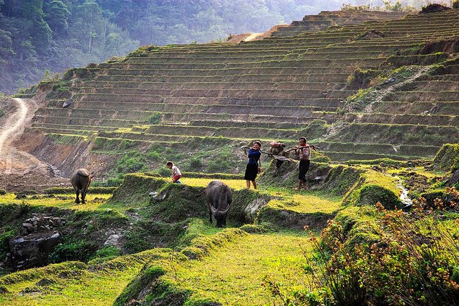 Trekking Through Rice Terraced Fields - 1Day​ - Booking and Cancellation