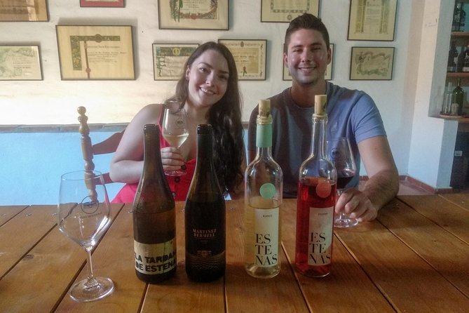 Two Wineries Tour With Wine Tasting - Explore Historic Utiel-Requena