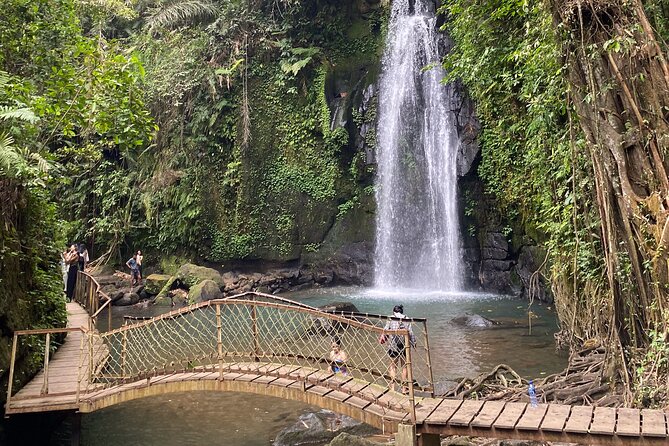 Ubud: Monkey Forest, Rice Terraces, Hidden Waterfall, Water Temple - Cancellation Policy