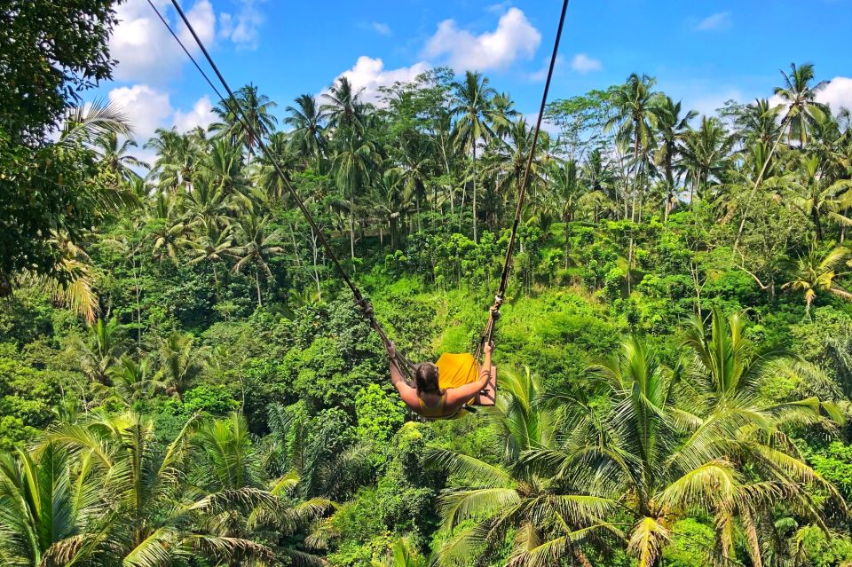 Ubud: Rice Terraces, Waterfall, and Monkey Forest Day Tour - Cancellation Policy