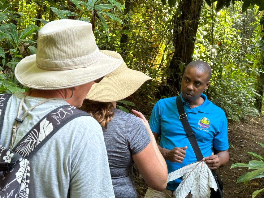 Vermont Nature Trail and Bird Watching Tour - Cancellation and Additional Notes