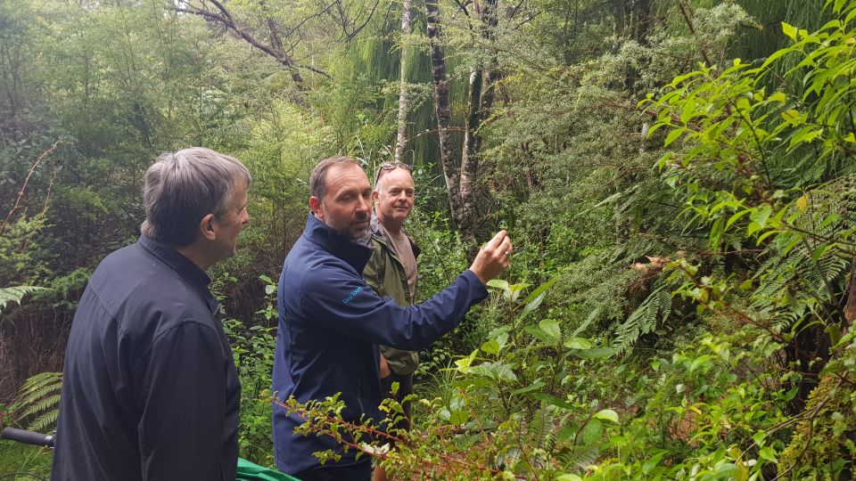 Waitakere Ranges Wilderness Experience Tour From Auckland - Frequently Asked Questions