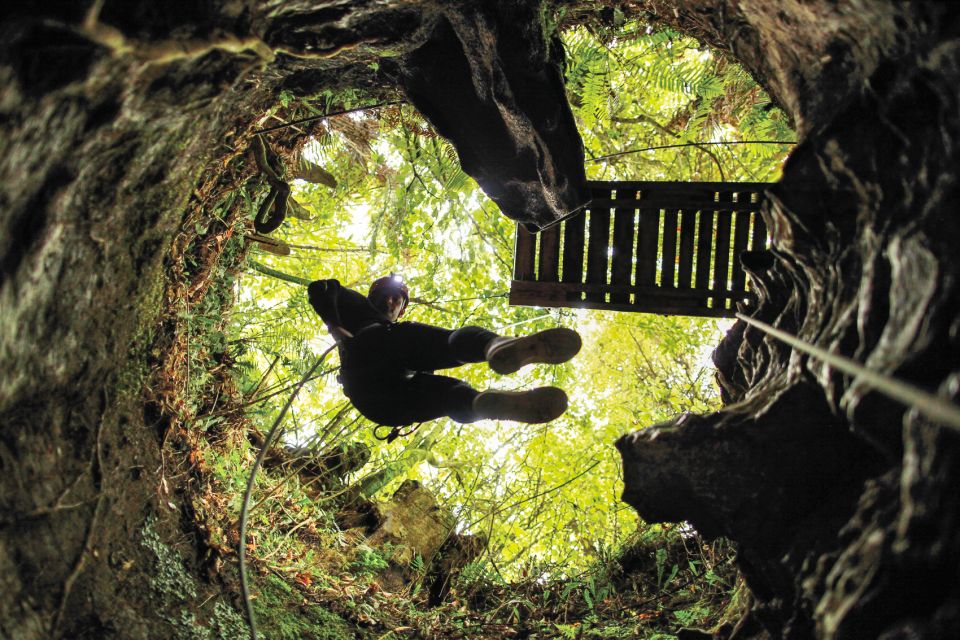 Waitomo Caves Black Abyss Ultimate Caving Experience - Customer Reviews and Testimonials