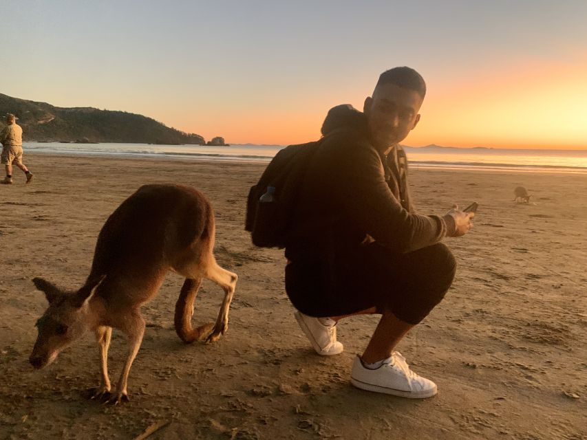 Wallabies on the Beach Sunrise Trip From Mackay - Additional Safety and Logistics