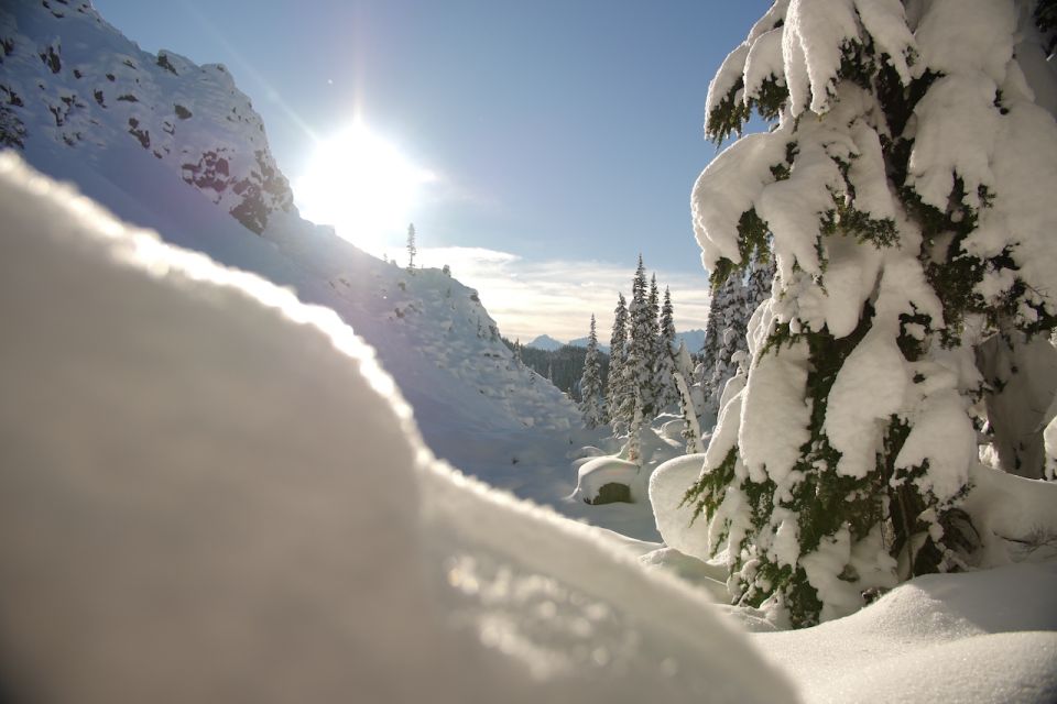 Whistler: Backcountry Snowshoeing Tour With Guide - Frequently Asked Questions