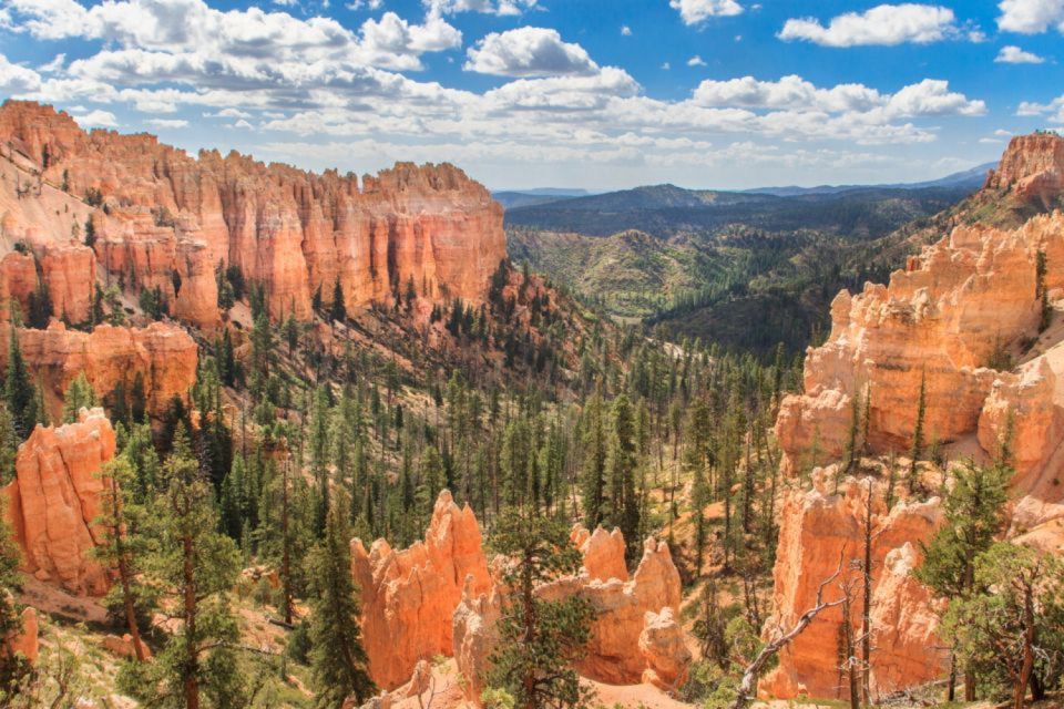 Zion & Bryce Canyon National Parks Self-Driving Bundle Tour - Getting Support During the Tour