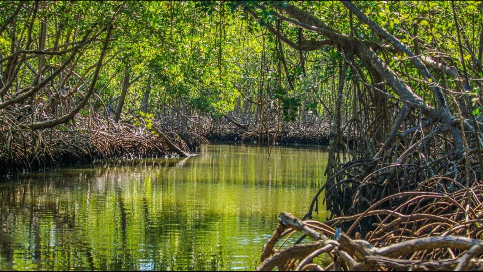 3in1: Los Haitises National Park + Yanigua Waterfall + Montaña Redonda - Frequently Asked Questions