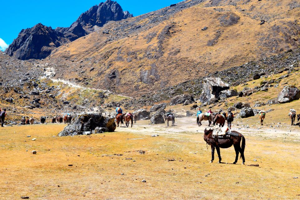 8 Day Cusco and Salkantay Trek to Machu Picchu - Frequently Asked Questions