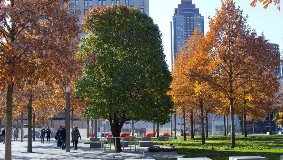 9/11 Memorial and Ground Zero Tour by Local Guide - Booking Information