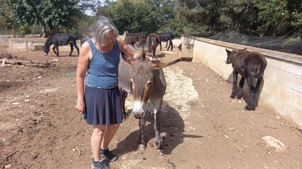 Alberobello E-Bike Tour With Visit to a Donkey Farm - Frequently Asked Questions