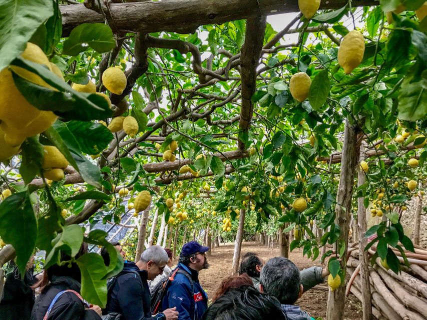 Amalfi Coast Path of the Lemon Private Walking Tour - Frequently Asked Questions