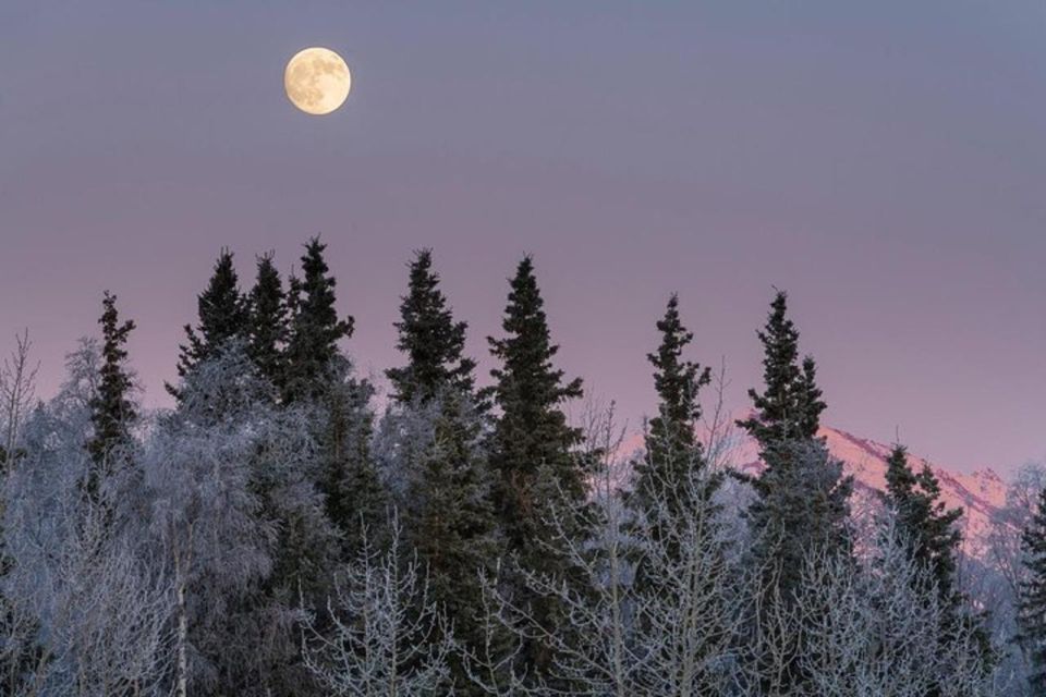 Anchorage: Sunset Photo Safari - Natural History Narrative