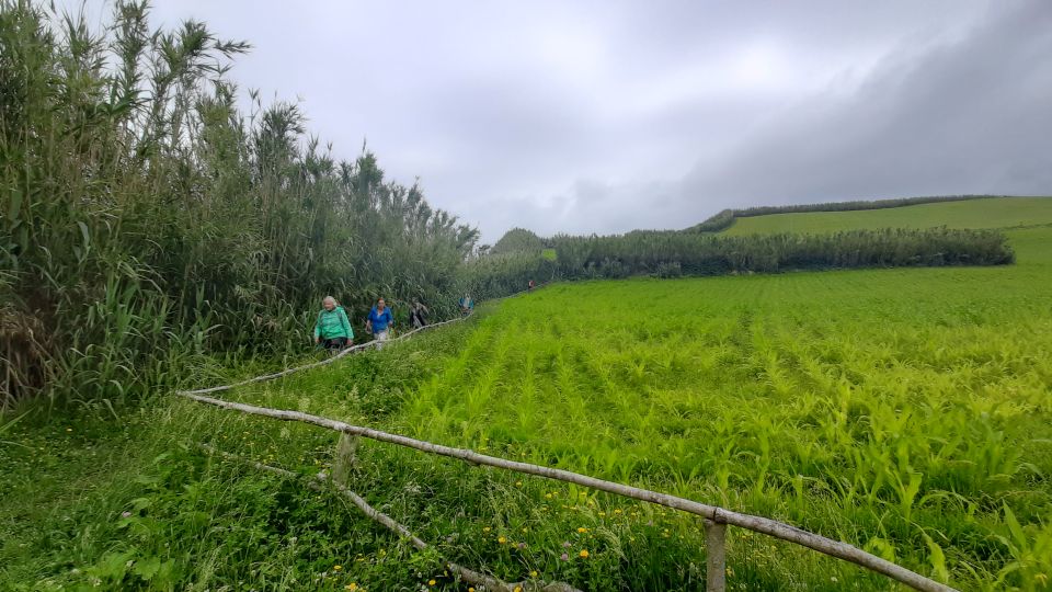 Azores: Hike on São Miguel and Snorkeling With a Local - Frequently Asked Questions