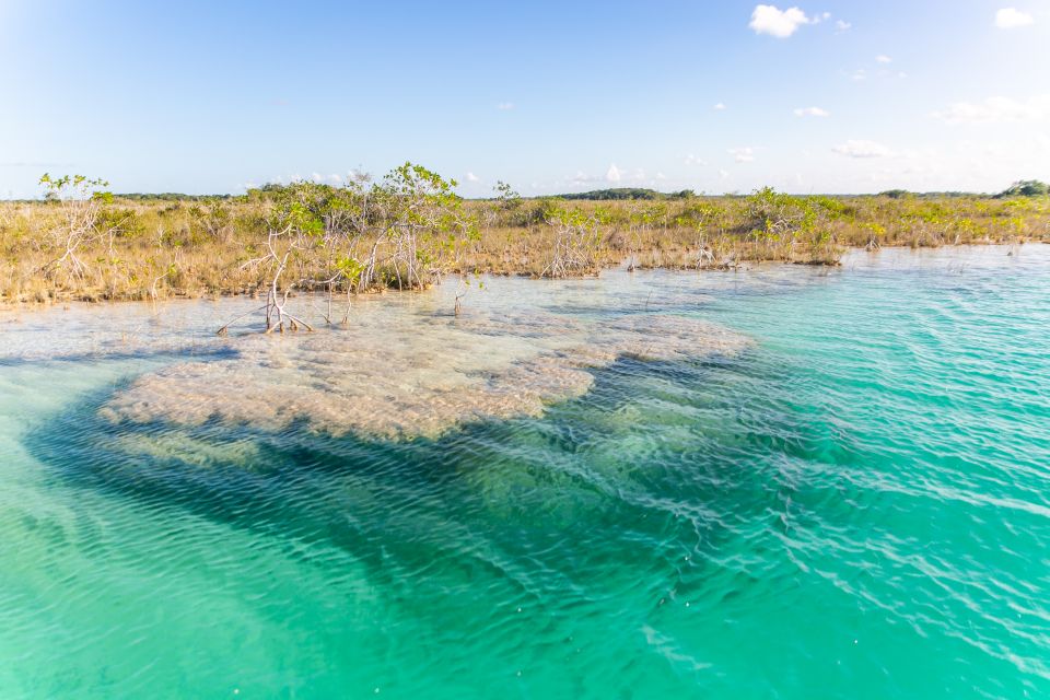 Bacalar: 3 Hour Boat Trip With Swimming & Drinks - Frequently Asked Questions