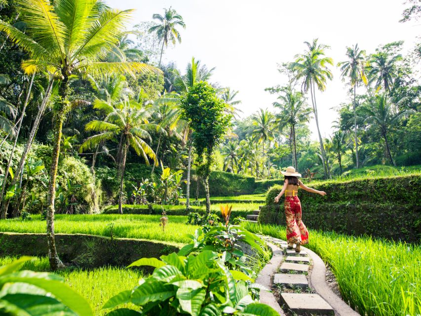 Bali: Ubud Adventure: Rice Terraces, Monkey Forest & Falls - Explore Tegallalang Rice Terraces