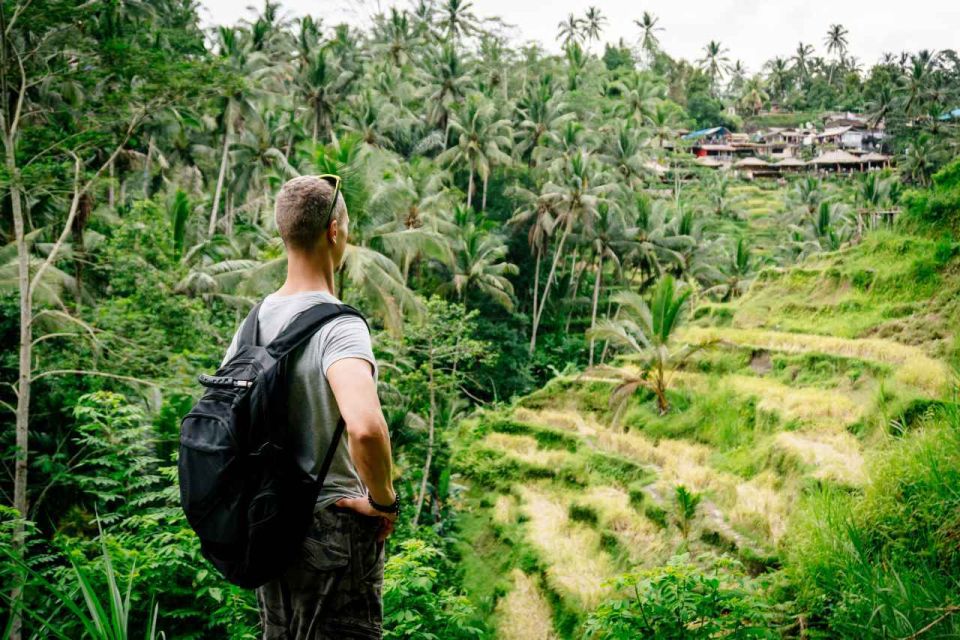 Bali: Ubud and Tanah Lot Small Group Guided Tour - Frequently Asked Questions