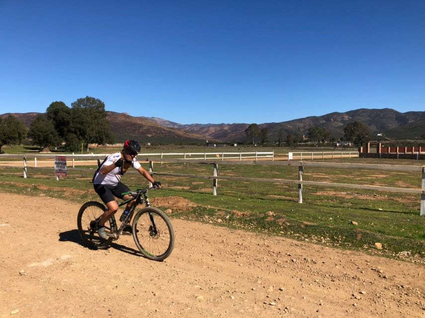 Bike and Wine Amazing Adventure in Valle De Guadalupe - Frequently Asked Questions