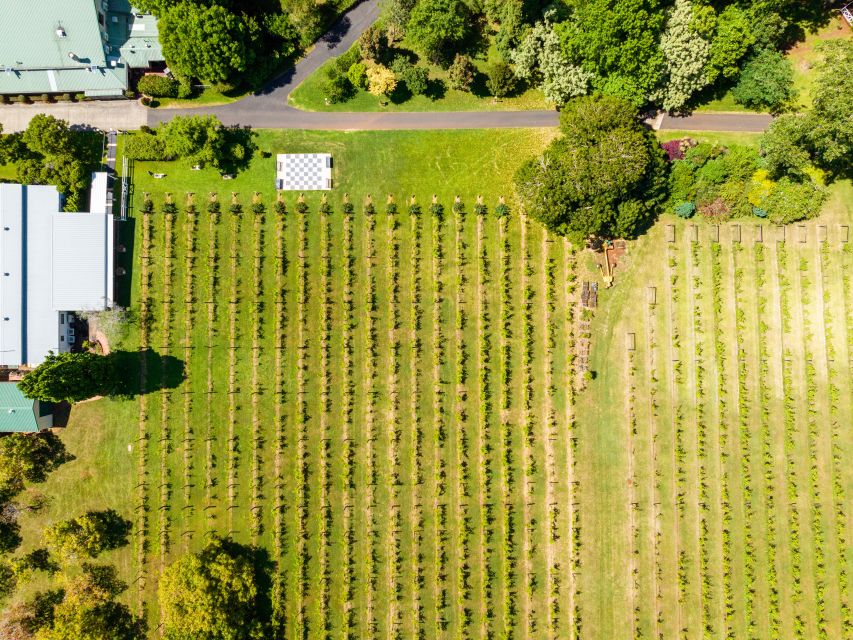 Brisbane/Tamborine Mountain: Local Winery Tour With Lunch - Directions