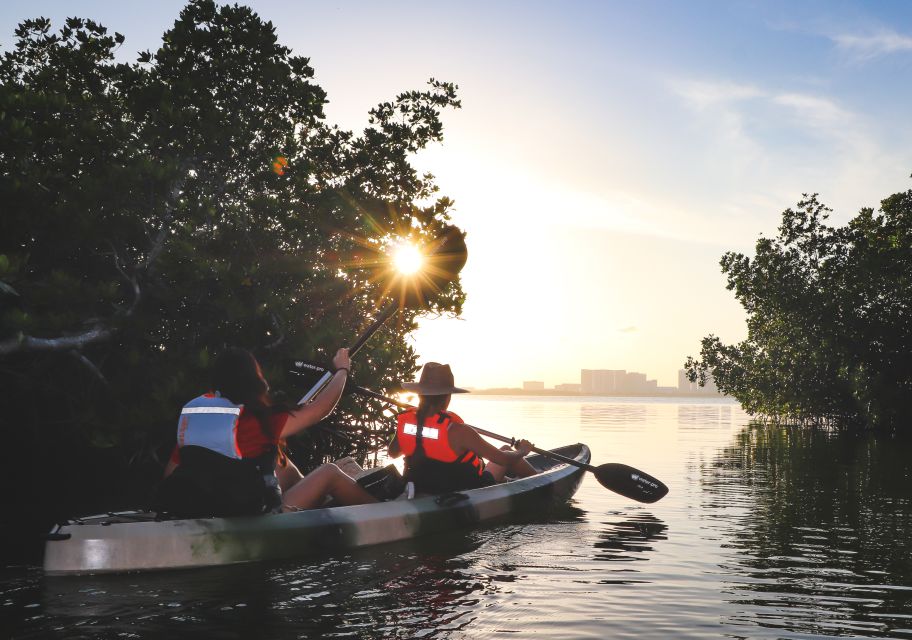 Cancun: Sunset Kayak Experience in the Mangroves - Frequently Asked Questions