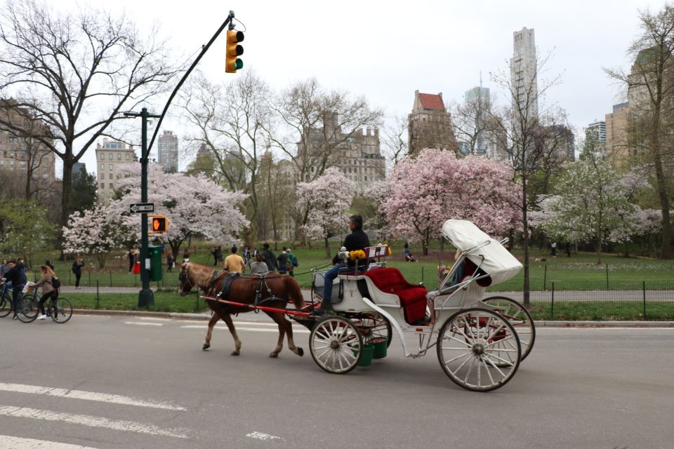 Carriage Ride To/From Tavern on the Green (Up to 4 Adults) - Frequently Asked Questions